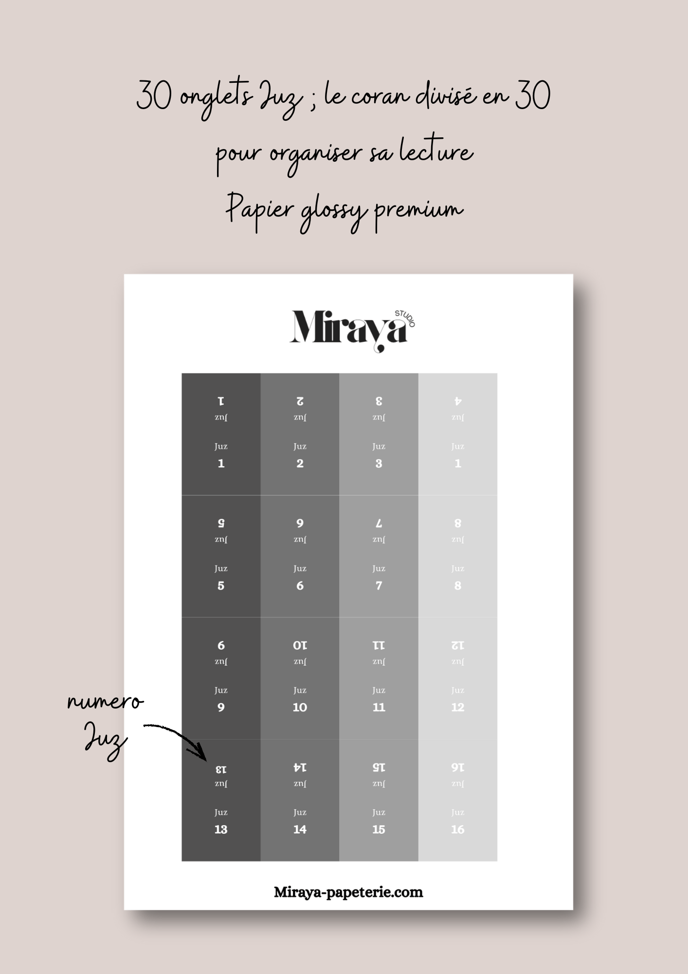 Onglets Juz Premium Miraya Gris - MIRAYA
